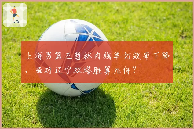 上海男篮王哲林内线单打效率下降，面对辽宁双塔胜算几何？