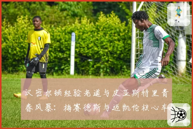 汉密尔顿经验老道与皮亚斯特里青春风暴：梅赛德斯与迈凯伦核心车手数据PK