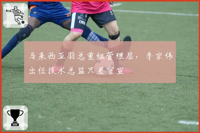 马来西亚羽总重组管理层,李宗伟出任技术总监只差官宣