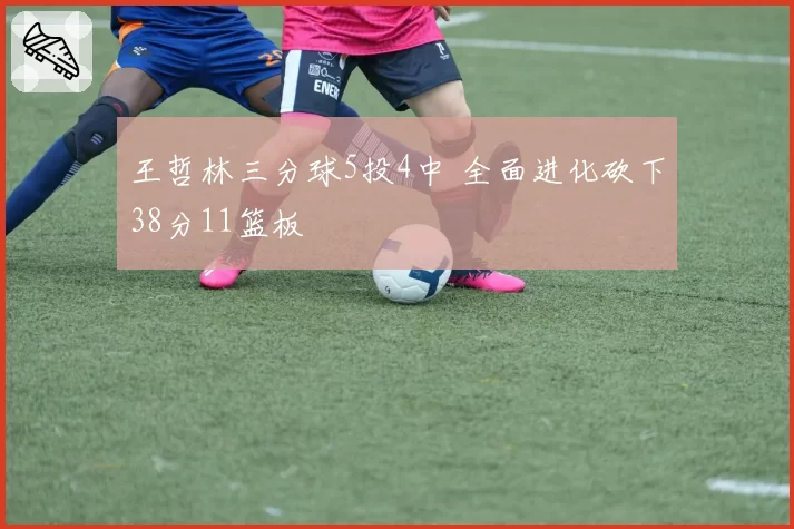 王哲林三分球5投4中 全面进化砍下38分11篮板